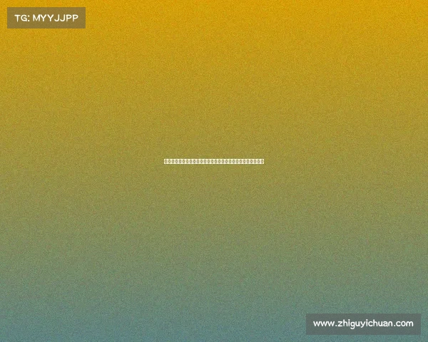 全球格斗赛事奖金盛宴巨额现金大奖激发选手斗志争夺冠军荣耀